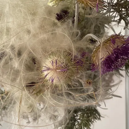 Apartamento Strawberry